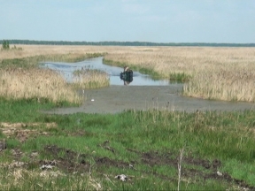 Два берега озера Кошара.